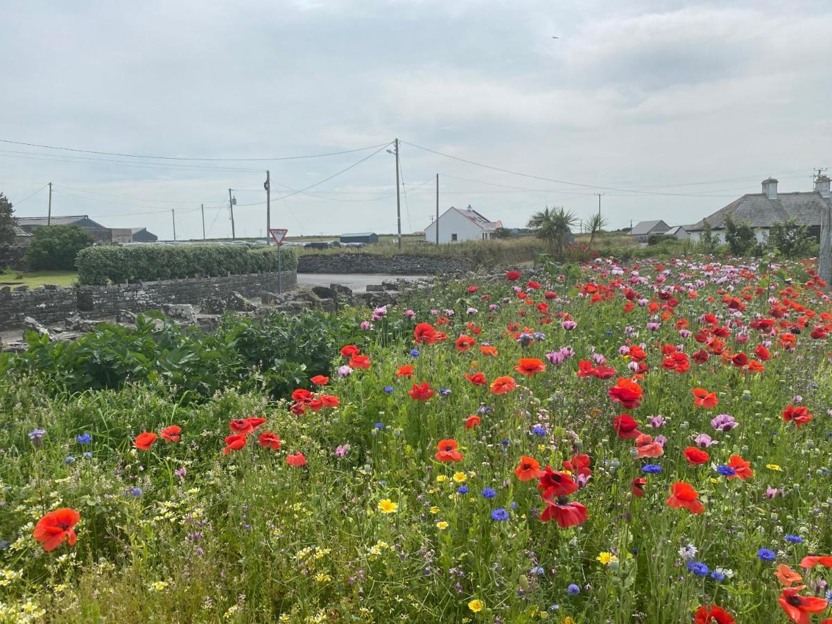 Clonmore Lodge B&B Quilty Esterno foto