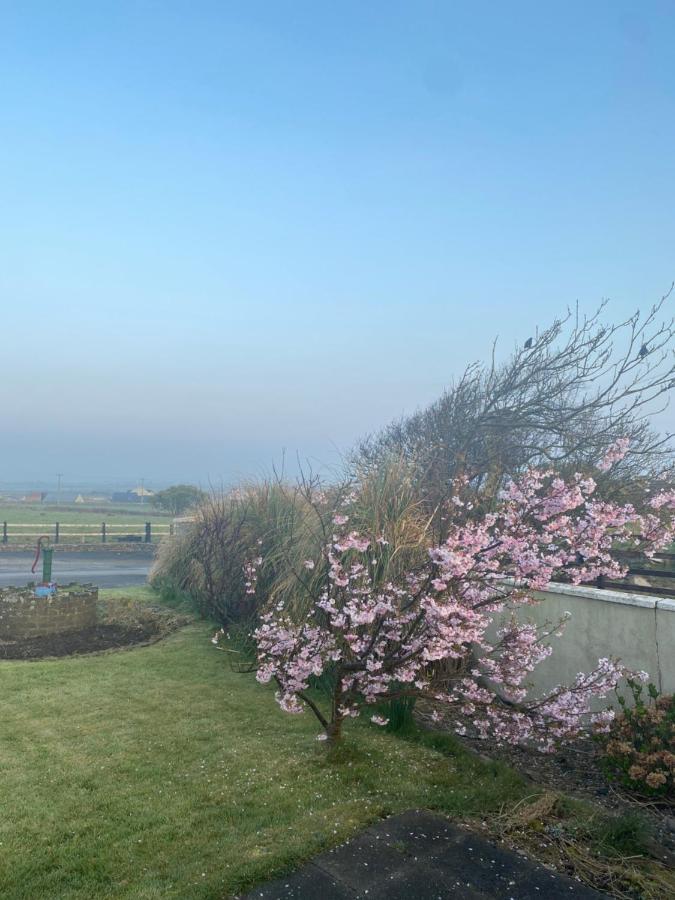 Clonmore Lodge B&B Quilty Esterno foto