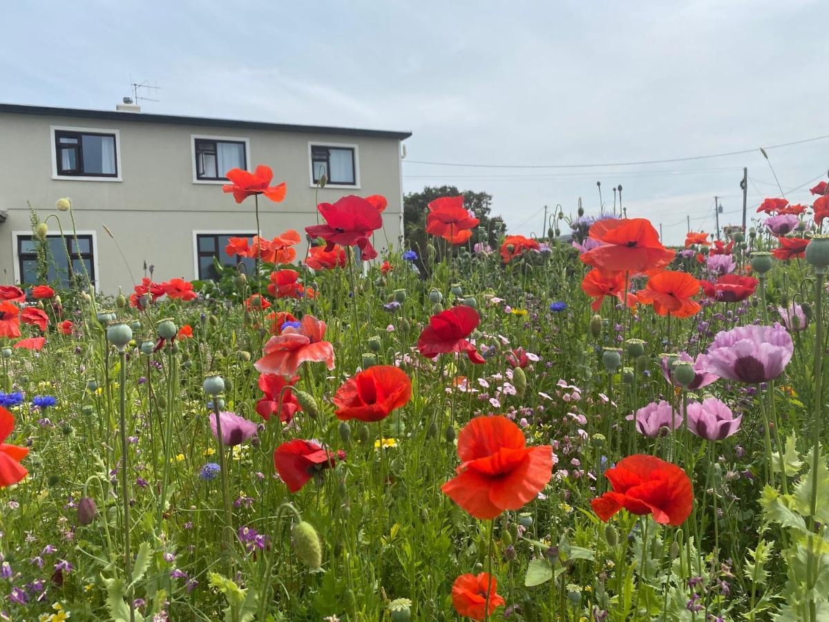 Clonmore Lodge B&B Quilty Esterno foto