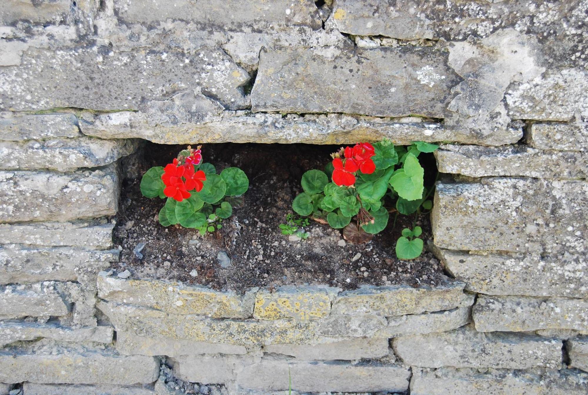 Clonmore Lodge B&B Quilty Esterno foto